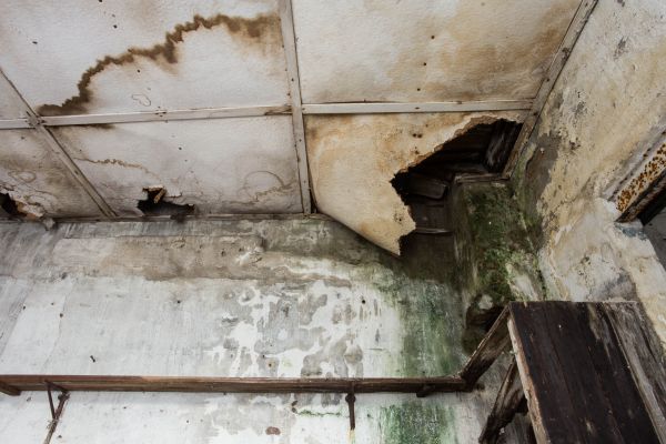Water Damage Service in Maricopa
