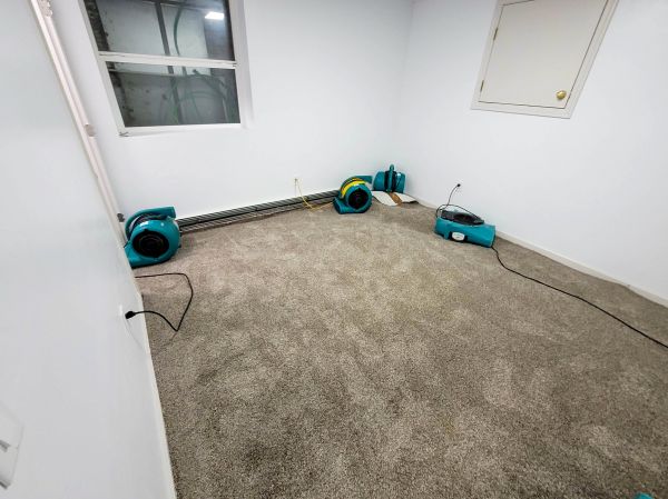 Flood Restoration Service in Maricopa