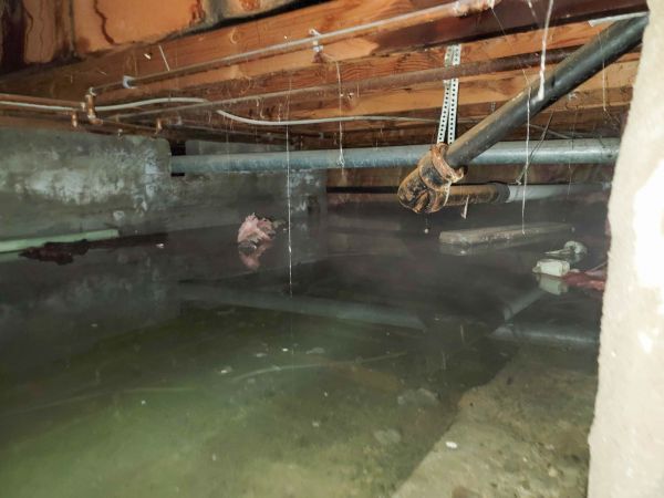 Water Mitigation Service in Maricopa