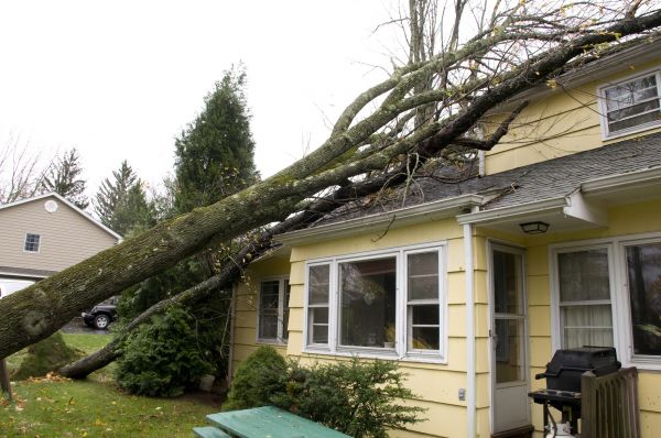 Hurricane Damage Repair in Maricopa