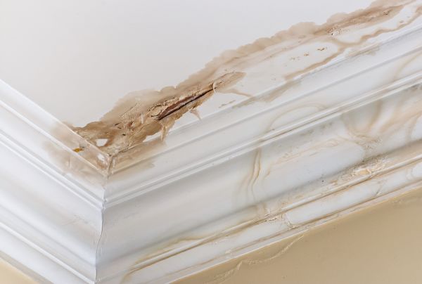 Water Damage Recovery in Maricopa